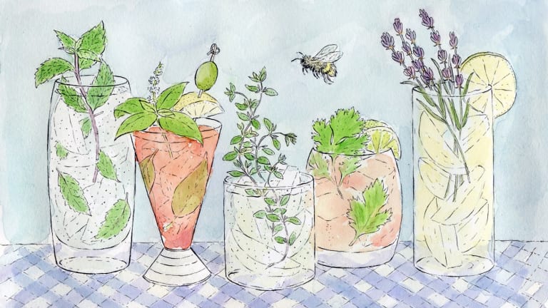 5 Easy-to-Grow Herbs for Fresh Spring Cocktails