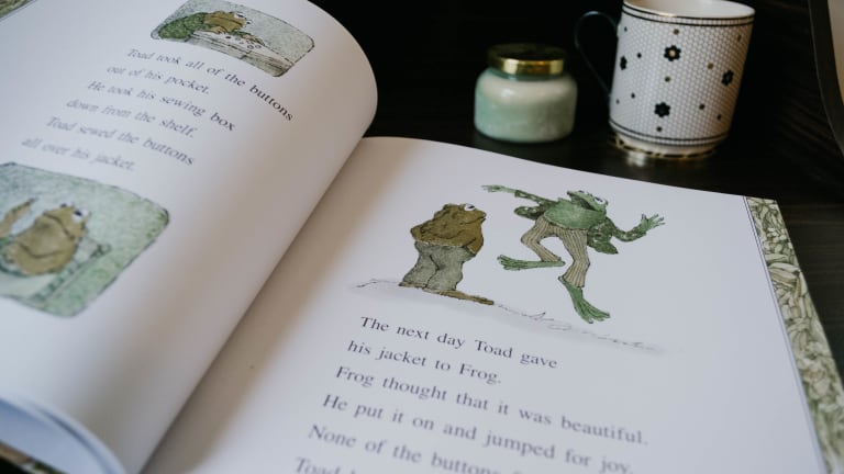 Lessons in Friendship from Frog and Toad