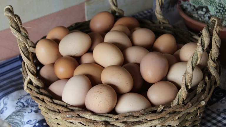 An Egg Recipe Inspired by a Movie