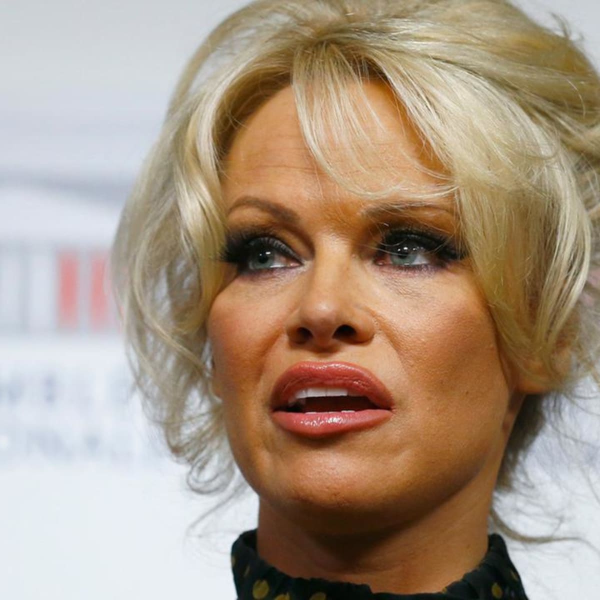 1200px x 1200px - Why Pamela Anderson's Stance On Porn Isn't As Surprising As You ...