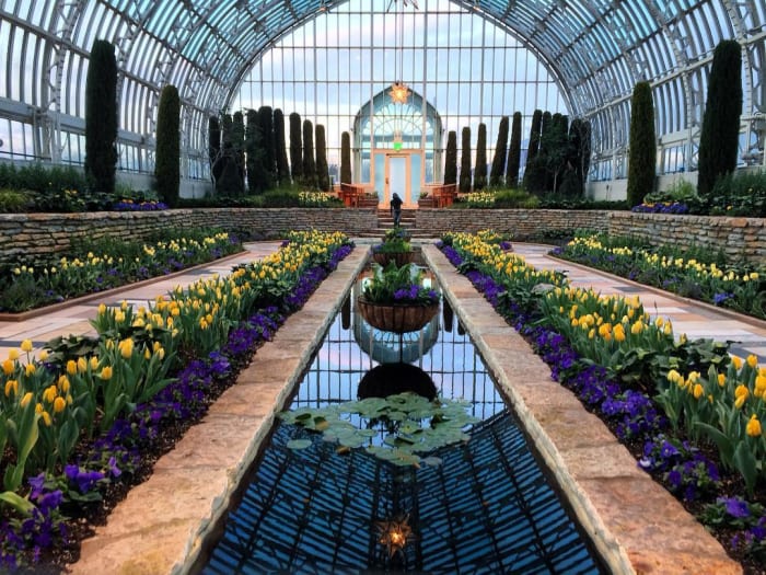 Image courtesy Como Park Zoo and Conservatory