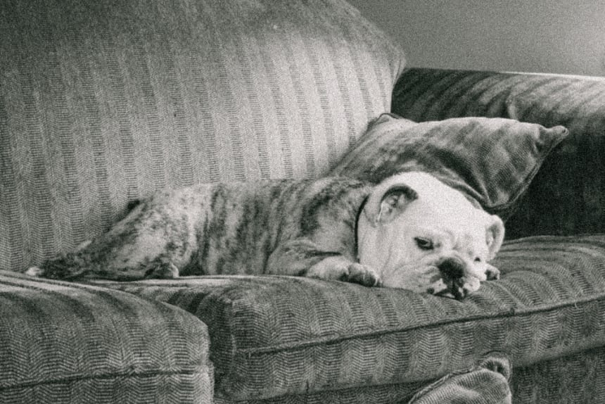 giving up television stop watching tv netflix binge watching tv is bad for your health