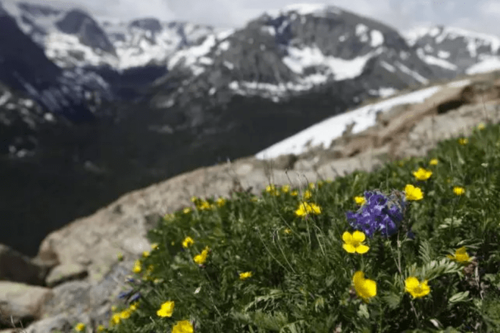 Source: Estes Park Colorado