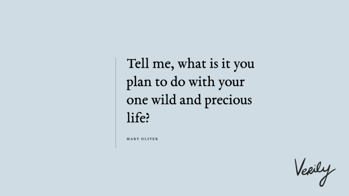 Mary Oliver Daily Dose:Phone WallpaperDesktop Wallpaper