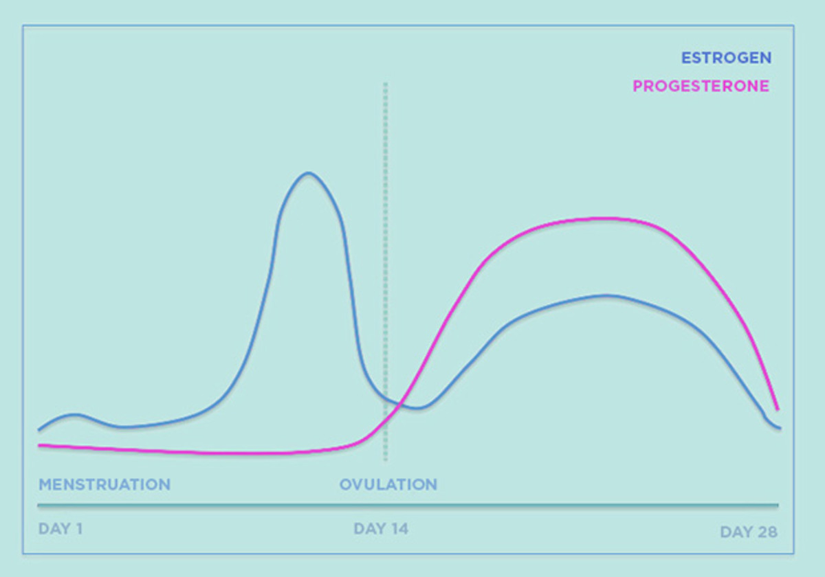 The Rollercoaster: PMS Hormonal Fluctuations and Serotonin.