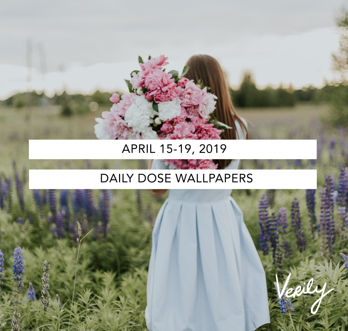 April 15-19, 2019 Daily Dose Wallpapers - Verily