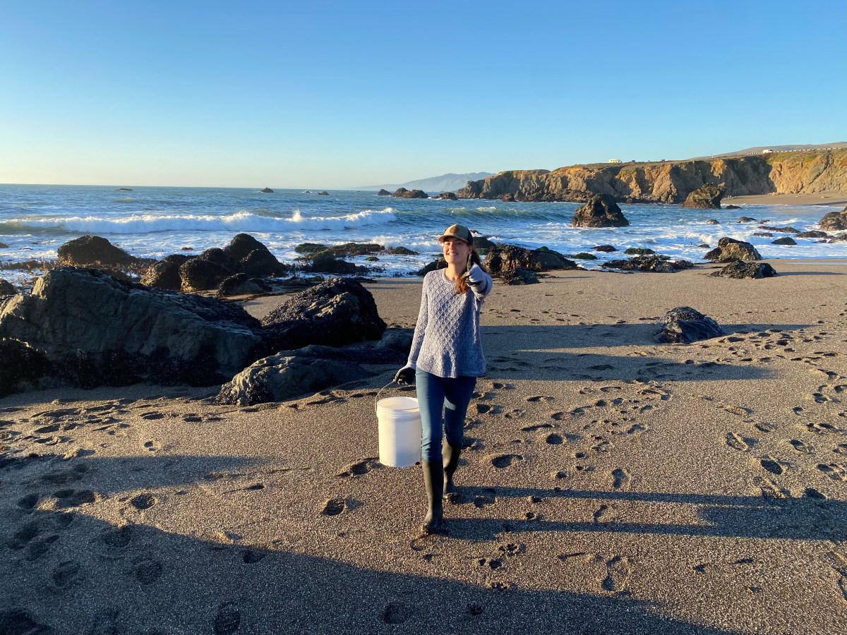 Travel With A Local: Santa Rosa, Ca - Verily